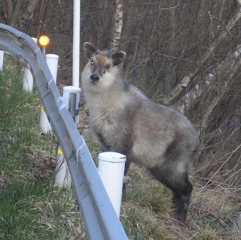d0115409_11524748.jpg