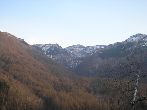 d0115409_1153531.jpg
