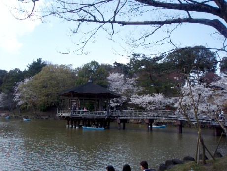 ぶら～っと春の奈良（前編）～2010年桜紀行その2～_f0043911_1137815.jpg