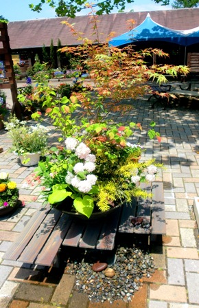 f0236311_90205.jpg