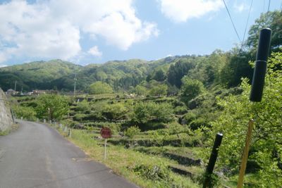 b0131012_17384231.jpg