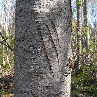 c0026612_1444332.jpg