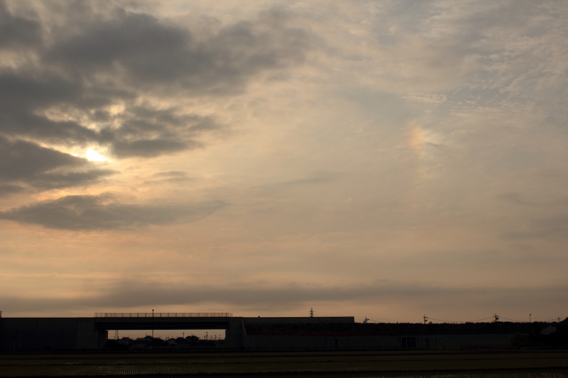 a0030713_23222670.jpg