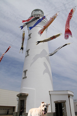 f0191413_10402235.jpg