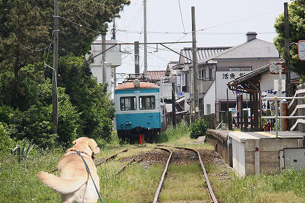 f0191413_1055437.jpg