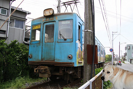 f0191413_1141316.jpg