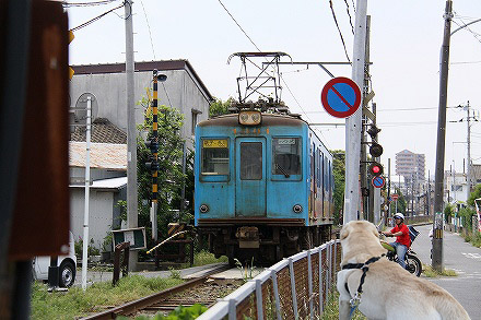 f0191413_11413421.jpg
