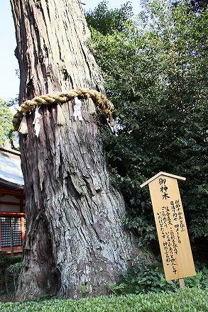f0191413_1216638.jpg