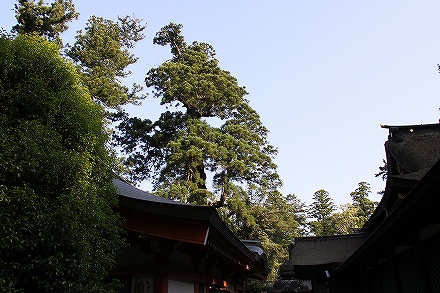 f0191413_12192756.jpg