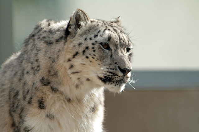 KOBE Ohji-Zoo_a0146616_1533367.jpg