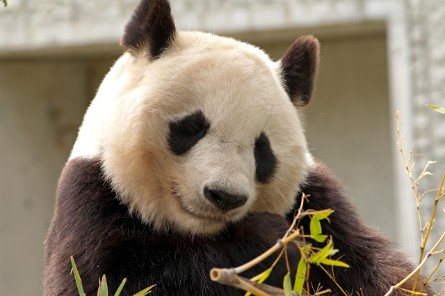 KOBE Ohji-Zoo_a0146616_1551434.jpg