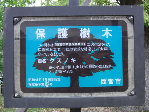 e0179321_21121496.jpg