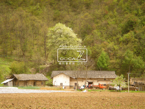b0160123_3391164.gif