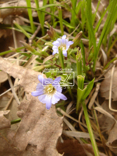 b0160123_3502787.gif