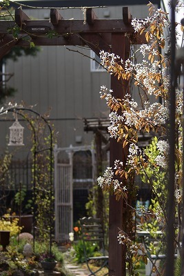 f0170524_15464284.jpg