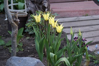 f0170524_15473017.jpg