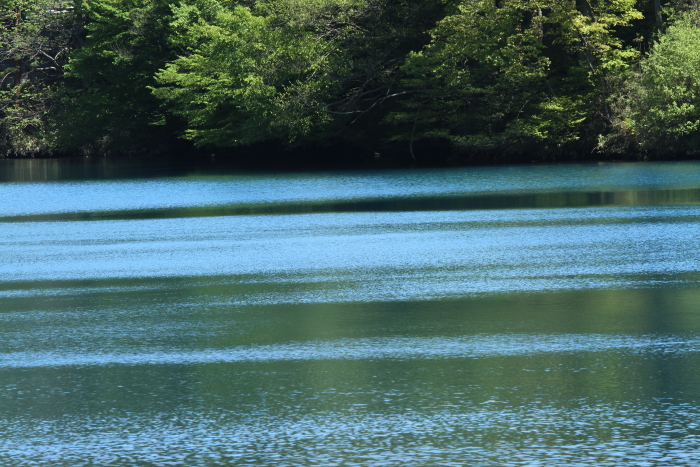 c0215627_190503.jpg