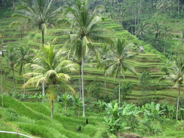 f0234427_14283964.jpg