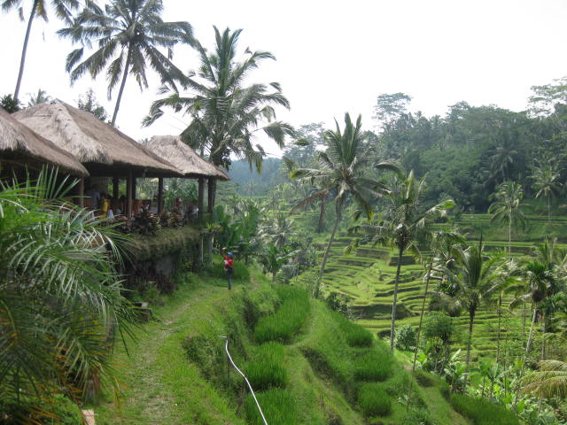 f0234427_1430988.jpg