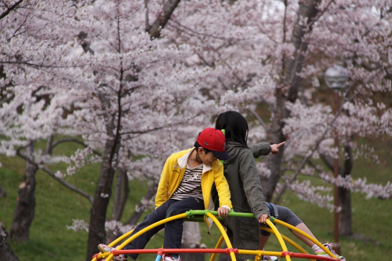 北海道も春本番！　暑寒別連峰と小樽・手宮公園の桜_a0114629_9585673.jpg