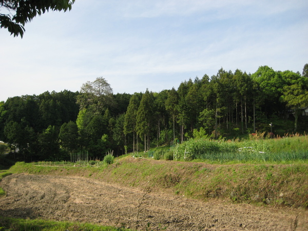b0107131_22214030.jpg