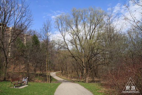 c0211532_1447241.jpg