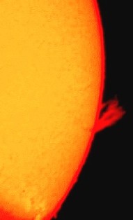 c0193536_2018846.jpg