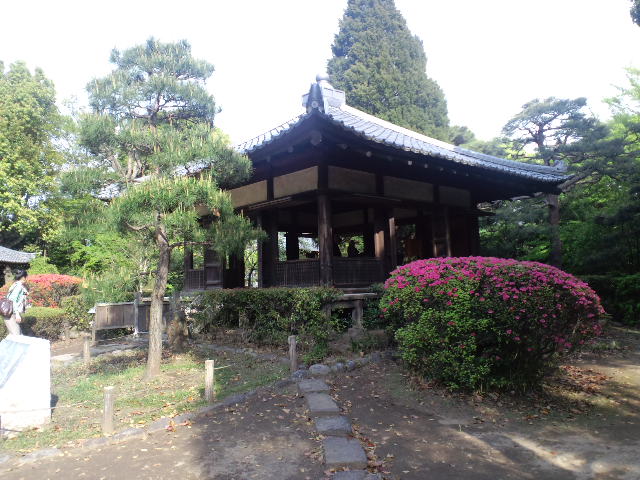 中野ご近所探索Ⅱ（哲学堂公園散策）_f0126940_8353750.jpg