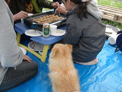 粉もんパーティー♪_f0186040_025216.jpg