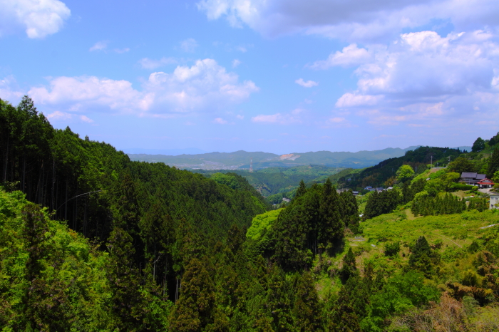 f0215041_22474089.jpg