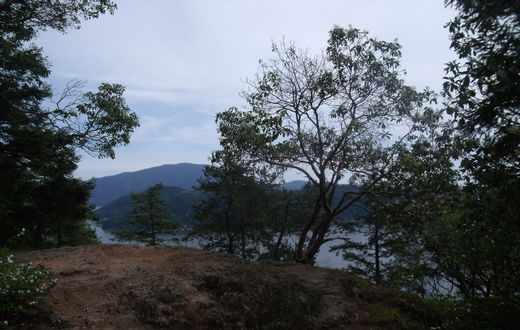 a0137643_24836.jpg