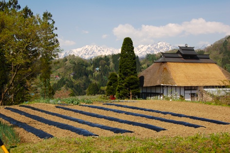 虫倉山に登った_c0002943_10415219.jpg