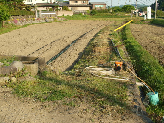 これで、いいのだ・・・夏野菜の定植。_c0072843_18322081.jpg