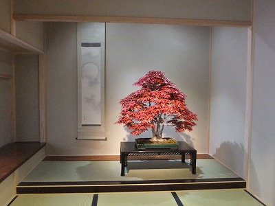 さいたま探訪(7)~大宮盆栽美術館・清香園_e0173645_19333827.jpg