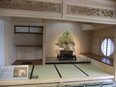 さいたま探訪(7)~大宮盆栽美術館・清香園_e0173645_19342721.jpg