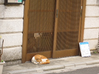 d0063149_0543550.jpg