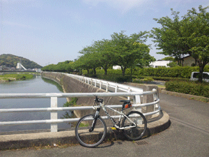 f0229250_21341855.gif