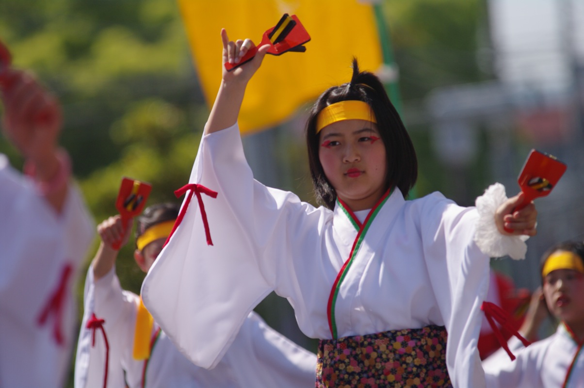 第４３回福山ばら祭その３（備後しんいち踊り隊）_a0009554_2323581.jpg