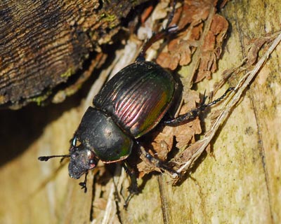 e0035757_22412147.jpg