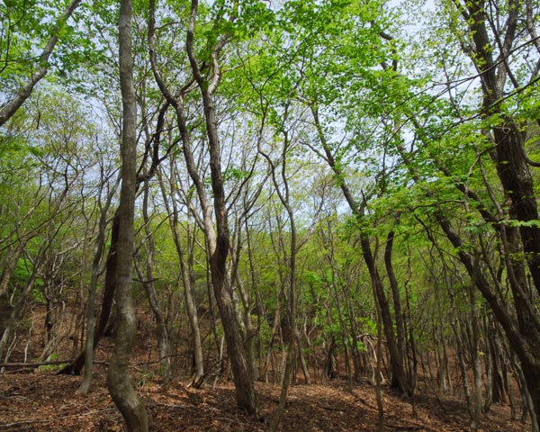 e0035757_22413781.jpg