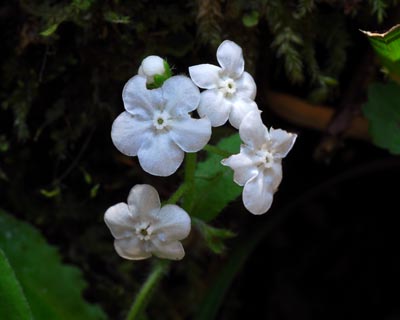 e0035757_22483799.jpg