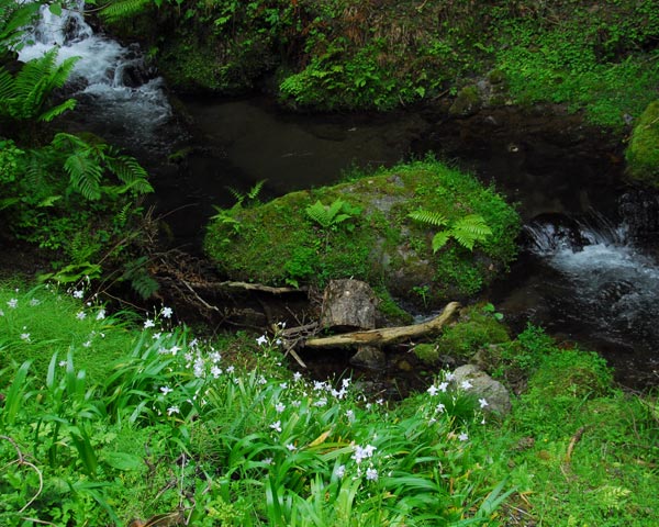 e0035757_22484946.jpg
