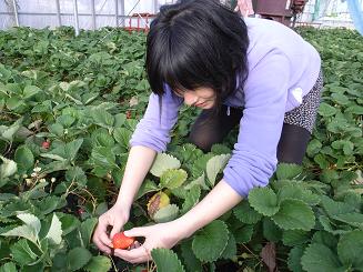 f0201157_13311990.jpg