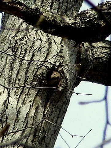 b0165760_11485079.jpg