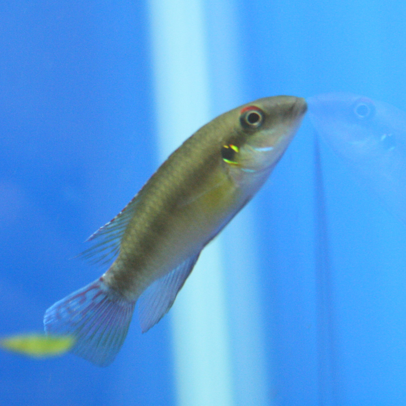 a0162263_20314092.jpg