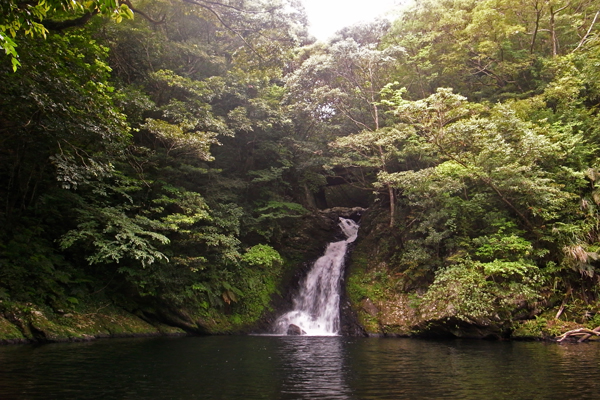 b0062363_85252.jpg