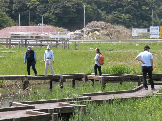 a0120468_1142065.jpg