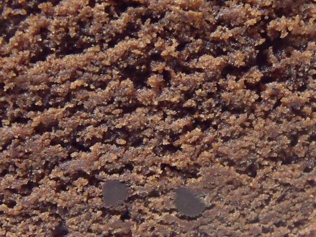 b0067569_2255326.jpg