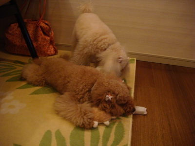 2010.5.16 広島へ日帰り_a0083571_22363616.jpg