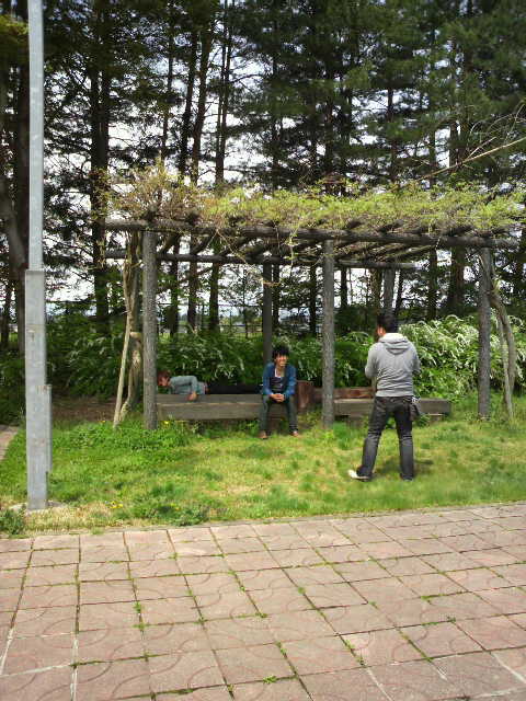 f0193072_116181.jpg